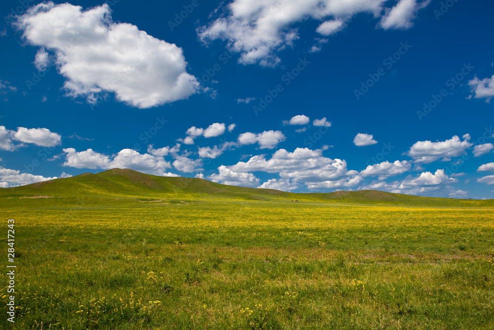 Landscape of grassland in Inner Mongolia