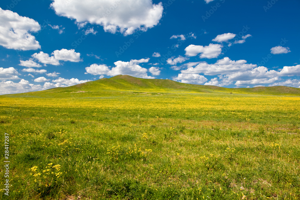 Landscape of grassland in Inner Mongolia