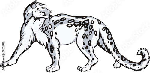 Snow leopard design