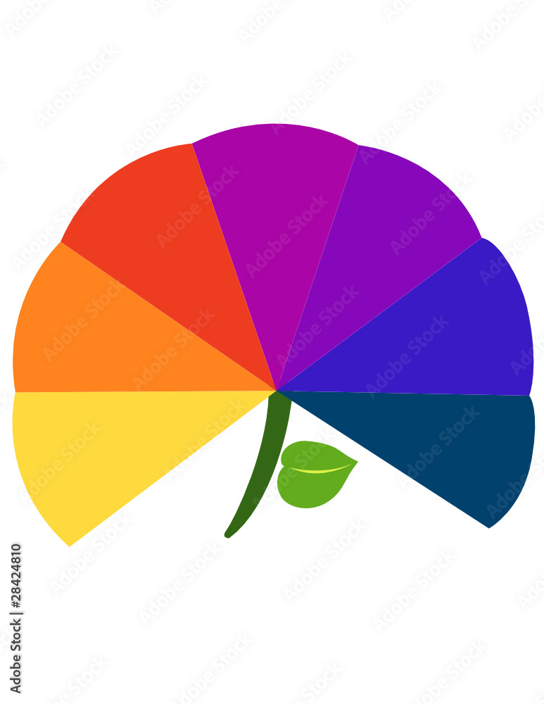 Obraz premium Colors