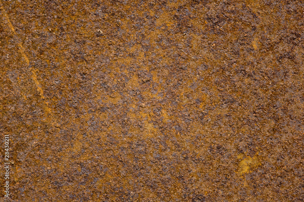 rost rost