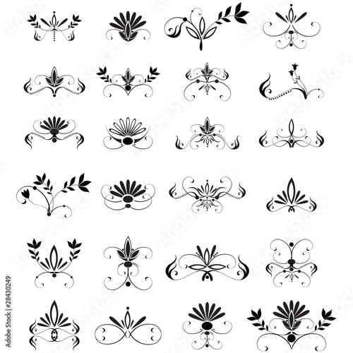 Vector large set of floral design elements