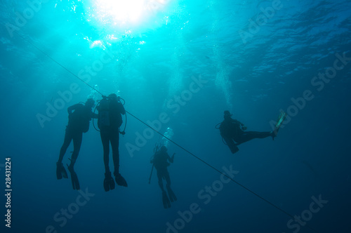 Scuba divers on a downline waiting to ascend