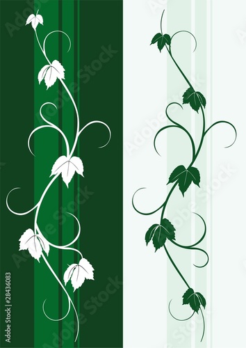 liana decor silhouette