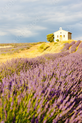 chapel with lavender field,Plateau de Valensole,Provence, France