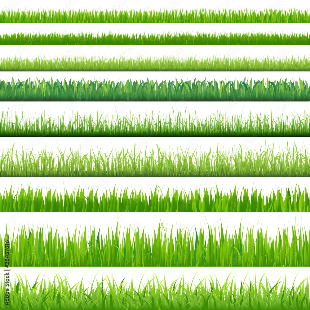 Wielkie trawy <span>plik: #28437816 | autor: iadams</span>