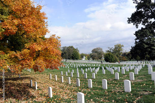 cimetiere d Arlington photo