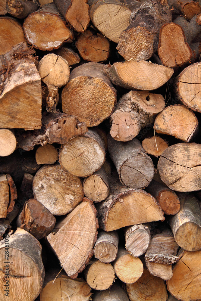 Log Pile Log Pile