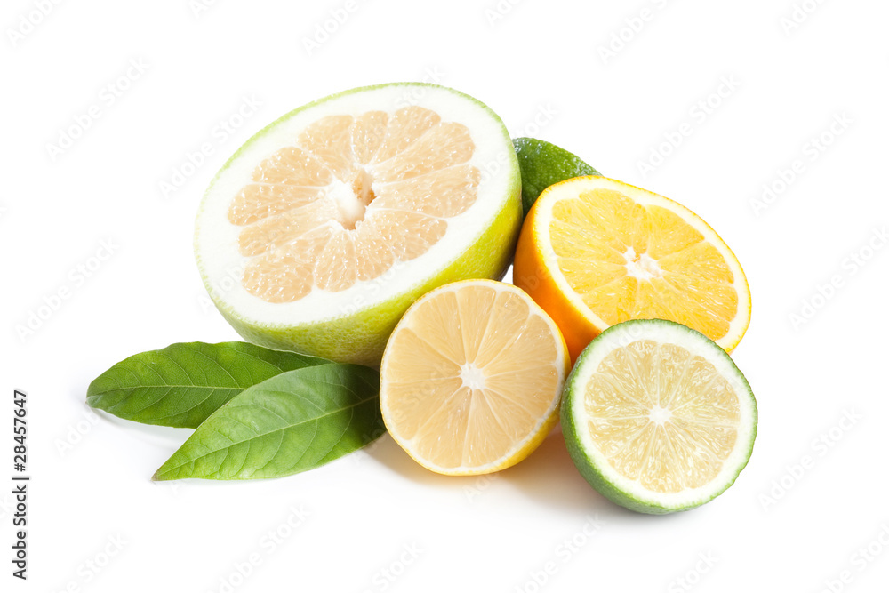 citrus collection citrus collection