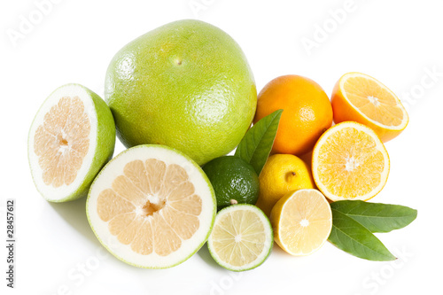 citrus collection