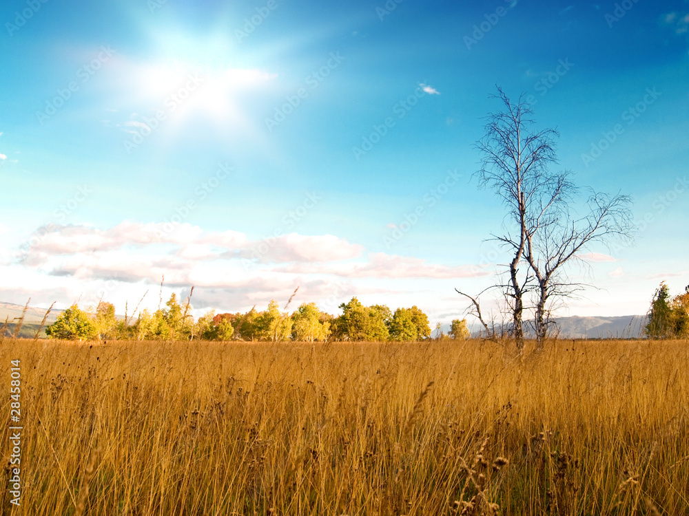 Fototapeta premium Valley landscape