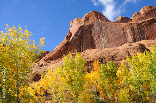 Poison Spider Mesa in the Fall