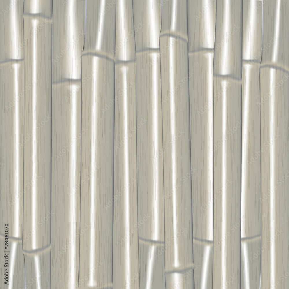 Silver bamboo Silver bamboo