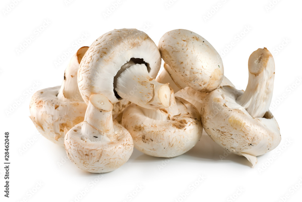 Mushrooms Mushrooms