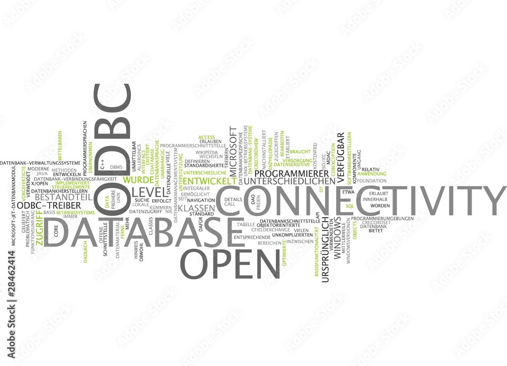 Open Database Connectivity ODBC Open Database Connectivity ODBC