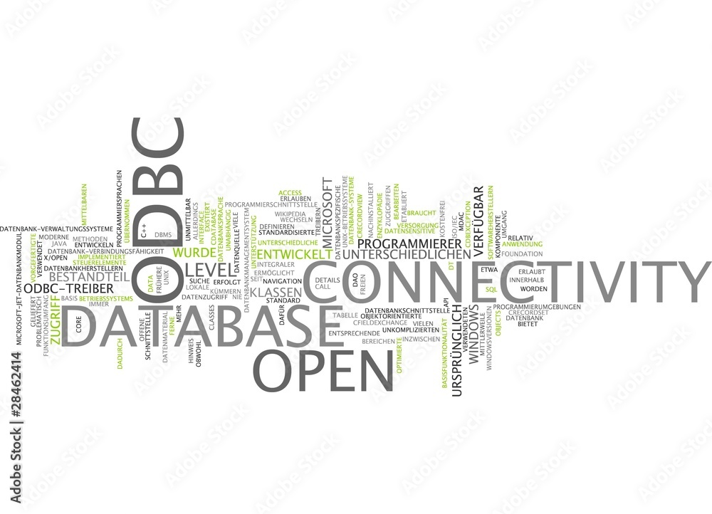 Open Database Connectivity ODBC