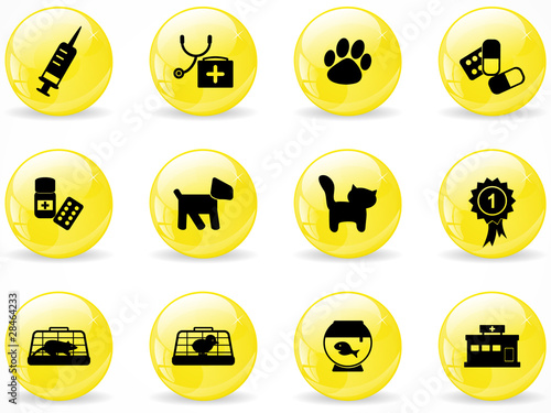 Glossy web buttons, veterinary icons