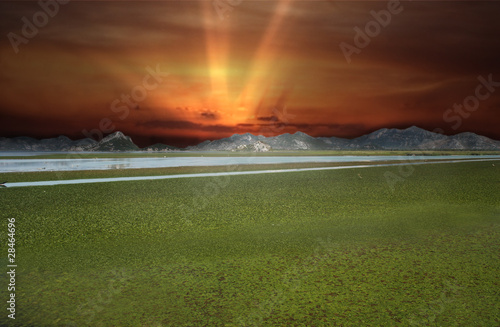 Beautiful sunset-grass and lake with mountain in backround