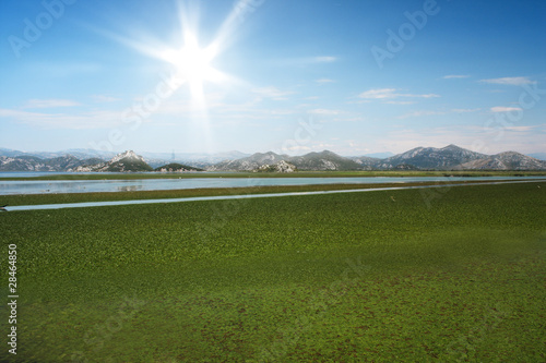 Beautiful sunset-grass and lake with mountain in backround