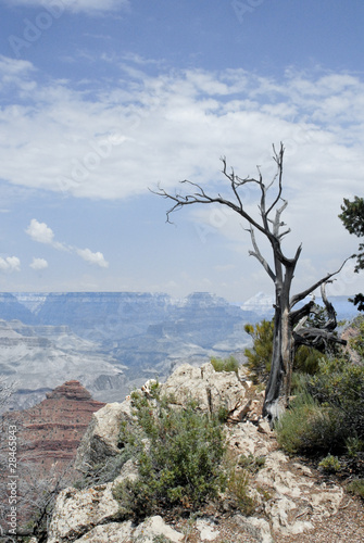 Grand canyon