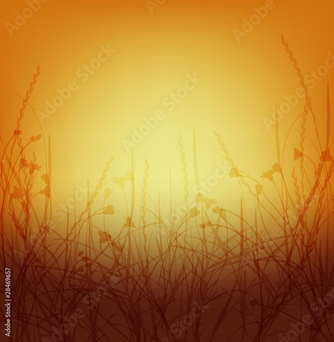 Background illustration of field of wild flowers and weeds