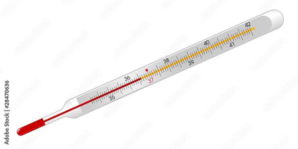 mercury thermometer mercury thermometer