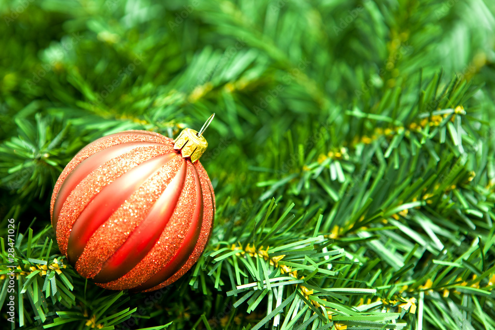Red ornament on pine branch Red ornament on pine branch