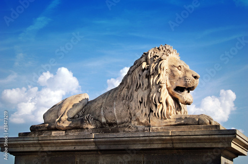 Lion statue in front of the Chain bridge in Budapest photo