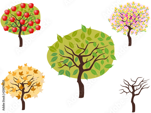 cartoon style of seasonal trees