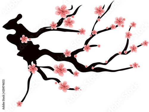 pink plums blossom