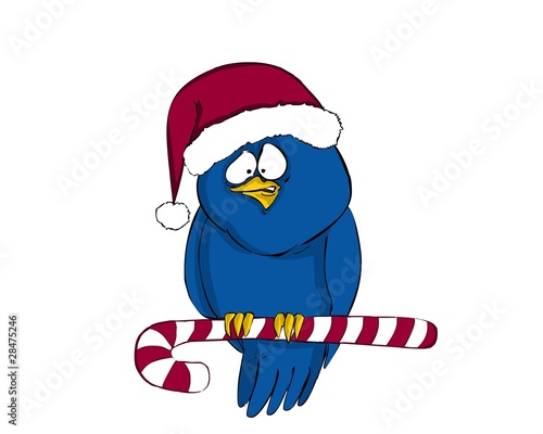 bird, birds, tweet, Christmas, Candy