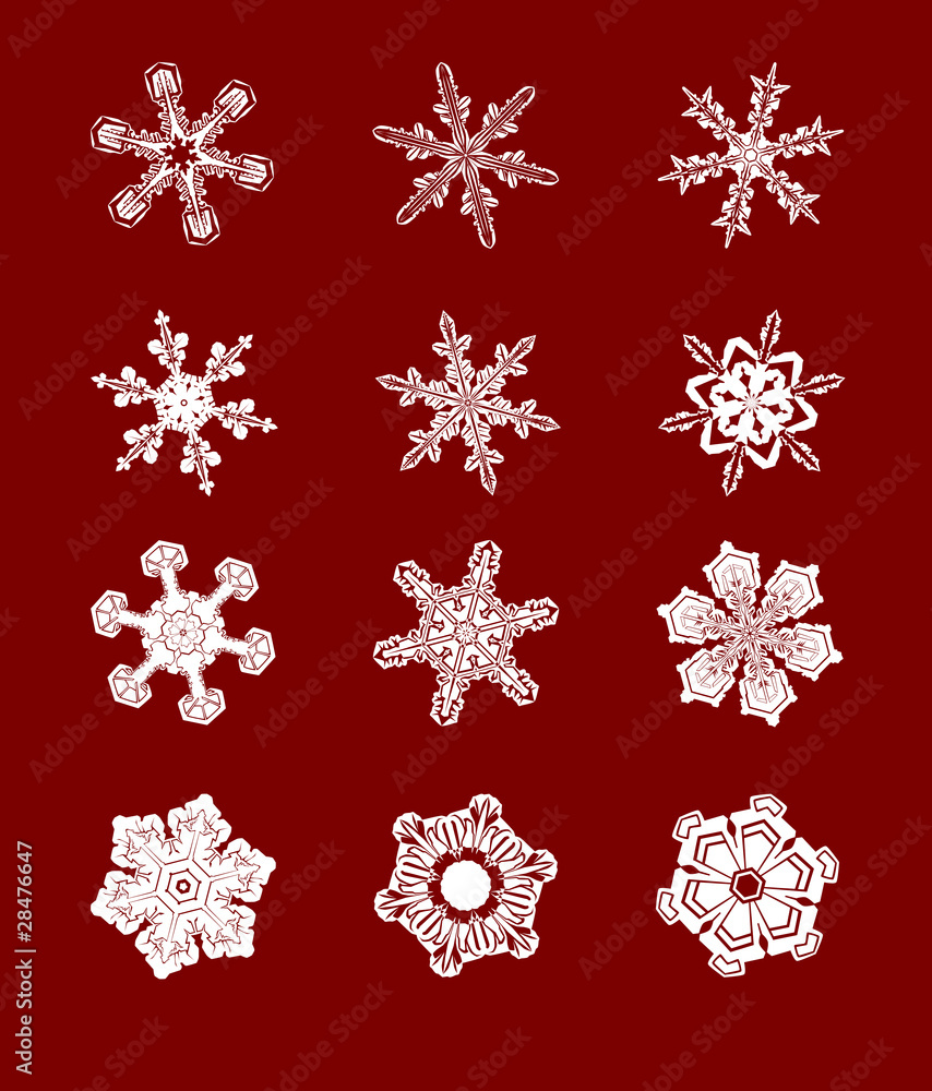 Vector snowflake set Vector snowflake set