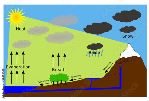 Cycle de l'eau Anglais