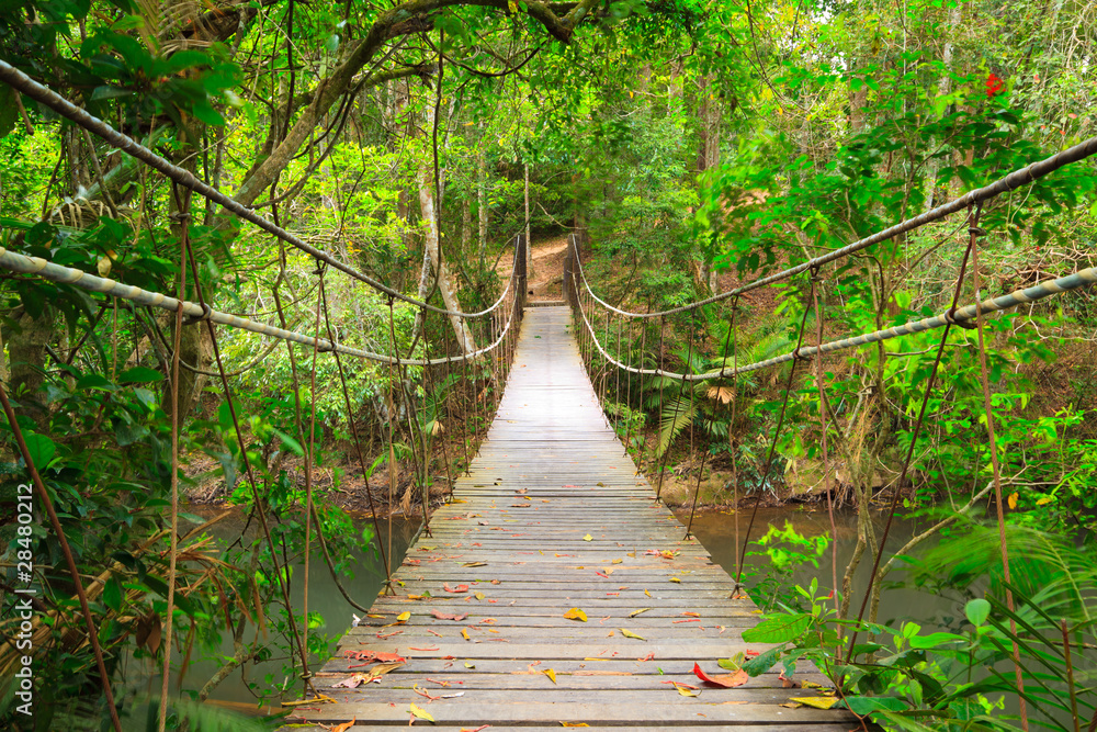Obraz premium Most do dżungli, park narodowy Khao Yai, Tajlandia