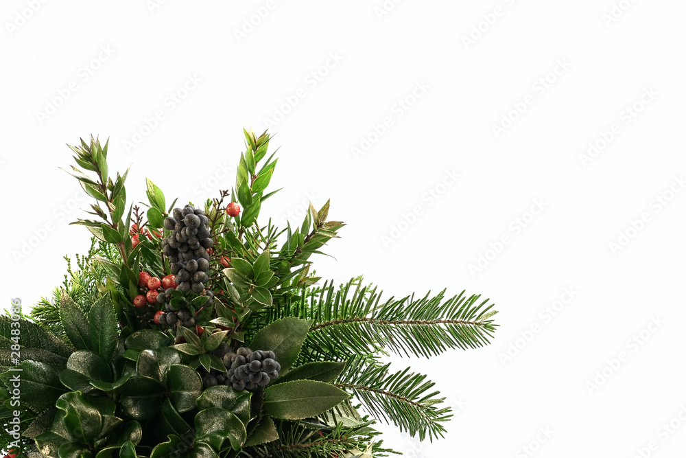 decoration decoration