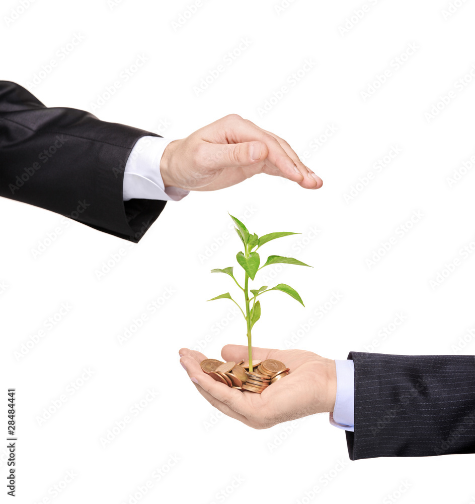 Hand protecting a green plant growing from pile of coins Hand protecting a green plant growing from pile of coins