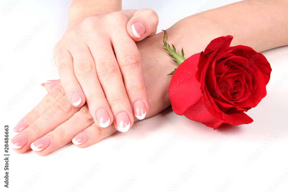 Fototapeta premium Pair of woman hands with red rose on table