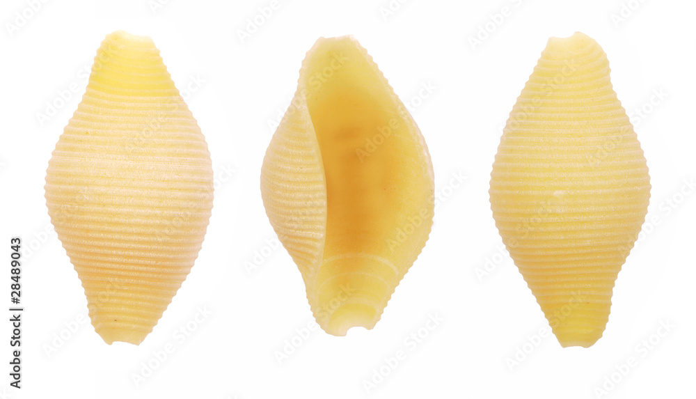 conchiglie shell pasta