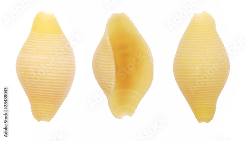 Obraz na płótnie conchiglie shell pasta w salonie