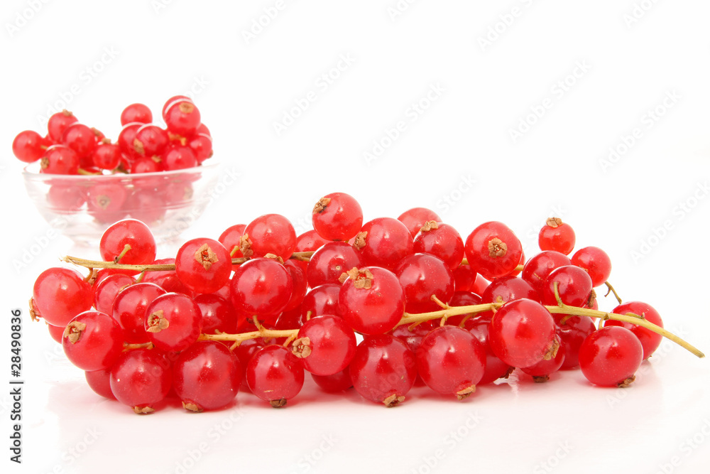 groseilles groseilles