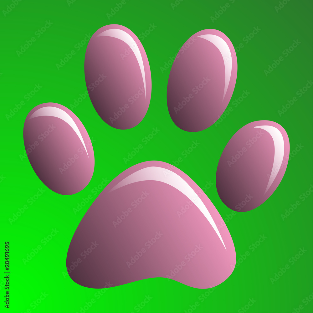 Paw Print Paw Print