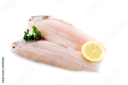 sole fish with ingredients -sogliola e ingrdienti photo