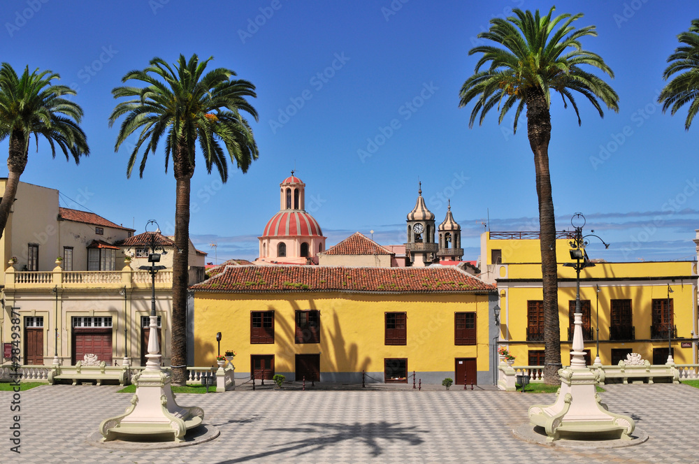 Colorful Square with Palms