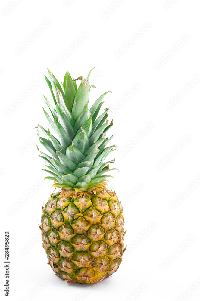 fruit fruit