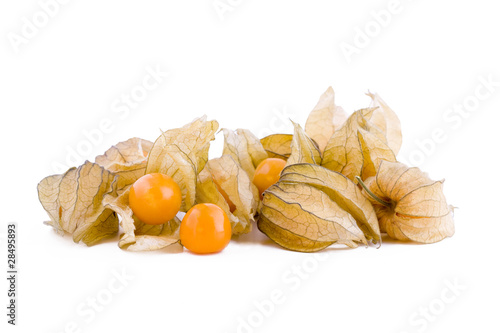 Fotografía Physalis