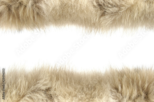 fluffy wool texture