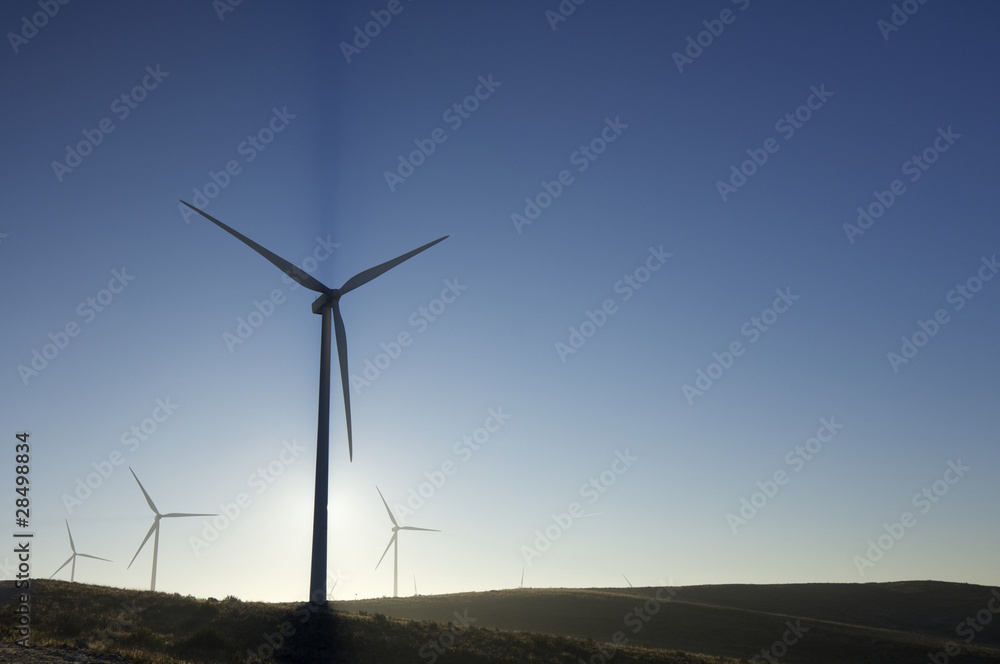 wind energy