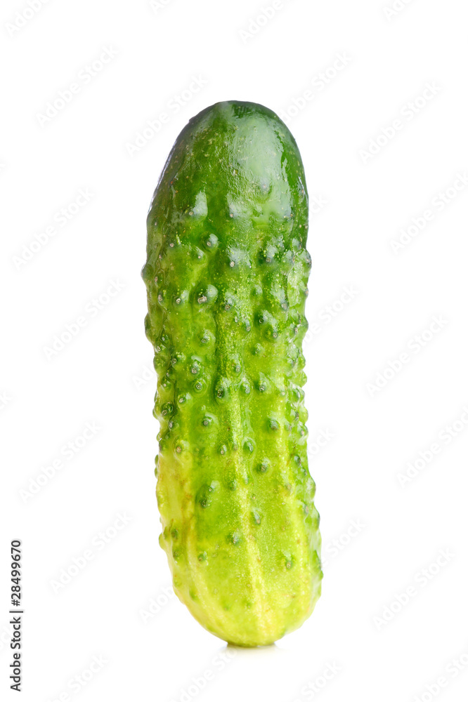 cucumber cucumber
