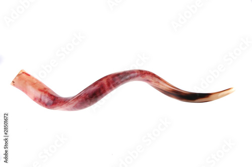 Fototapeta ram horn ( shofar )
