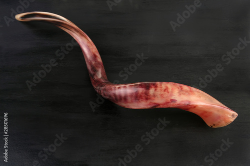 Fototapeta ram horn ( shofar ) on black